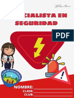 Especialista en Seguridad