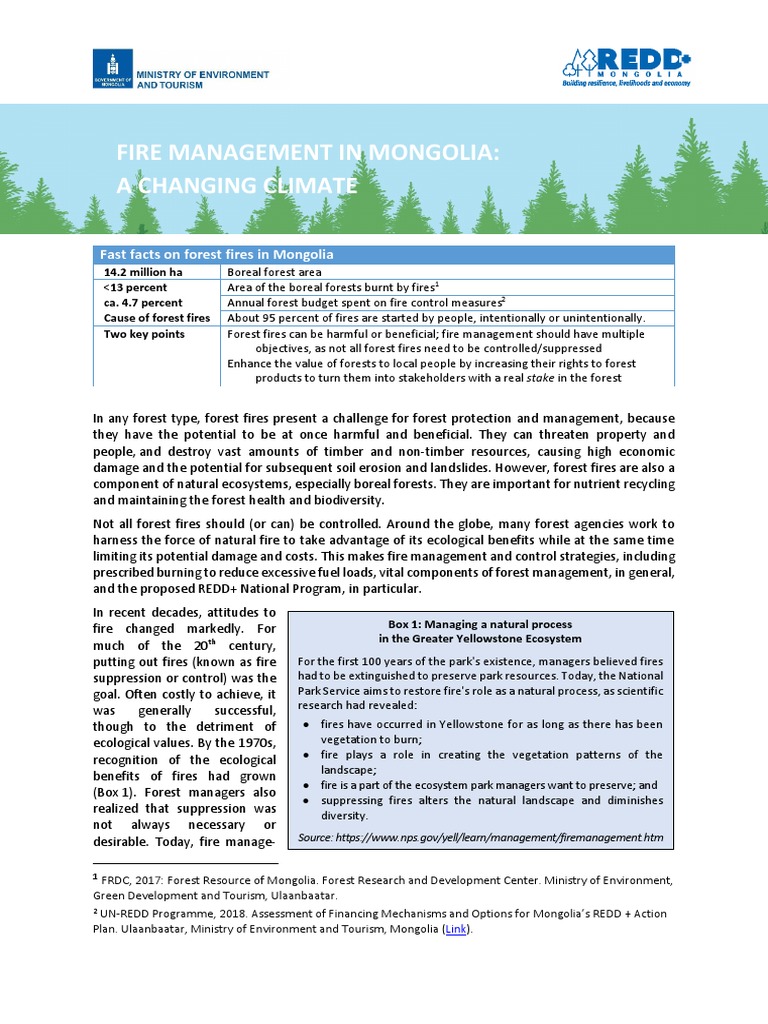 Mongolia's Forest Fire Management Challenges | PDF | Forests | Wildfire