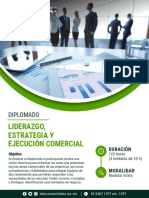 Liderazgo, Estrategia y Ejecución Comercial