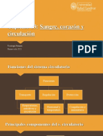 Sangre, Corazon y Circulacion