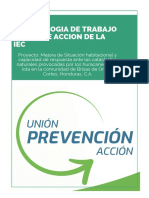 Metodologia y Plan de Accion IEC-MANUAL