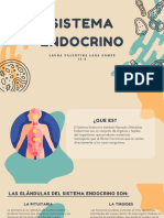 Sistema Endocrino