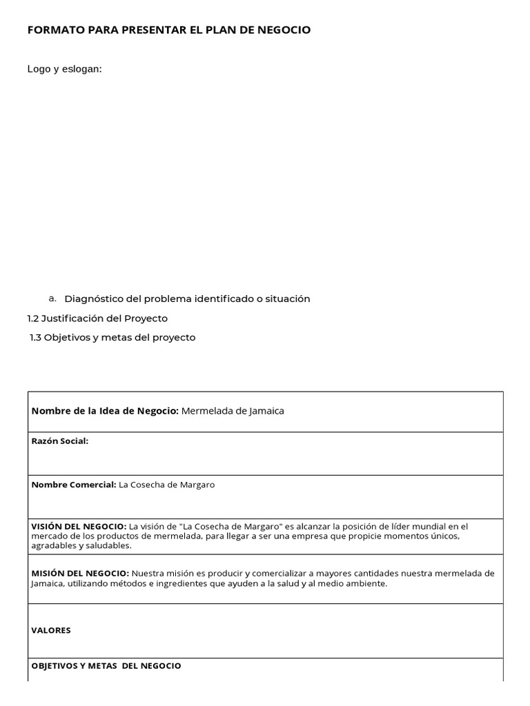 Formato de Plan de Negocios 2023 | PDF | Producto (Negocio) | Mercado ...
