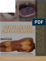 Catálogo de Productos Femenino Beige