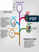 Triada ecológica epidemiológica: Agente, huésped, ambiente