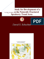 Spraberry Trend Area - West Texas