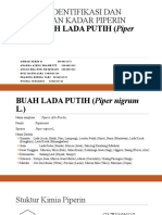 Kelompok 3 Piperin Fix