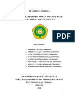 Laporan Praktikum Biokimia "Analisis Karbohidrat Amilum Pada Sari Buah, Madu, Tepung Beras Dan Saliva"