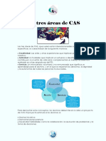 Las Tres Areas de CAS