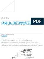 Curs 4: Familia Enterobacteriaceae