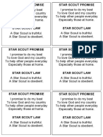 Star Scout Promise and Law