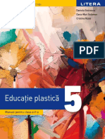 Manual Clasa A 5-A Educatie Vizuala