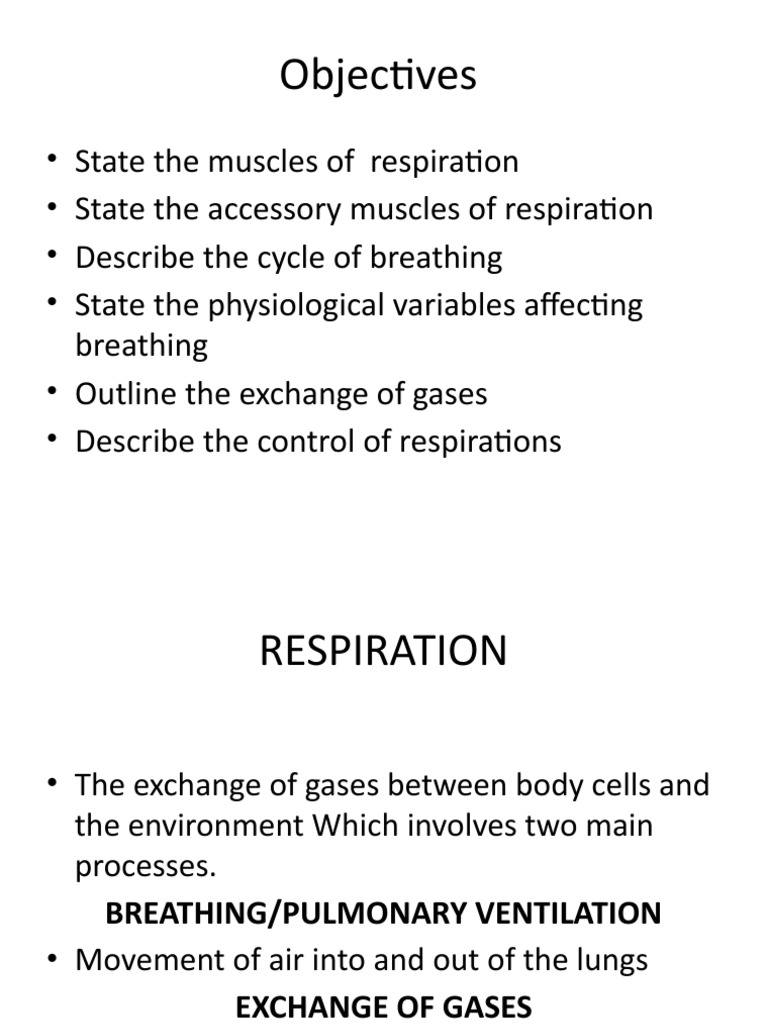 Understanding Even Unlabored Respirations The Ultimate Guide - 603obal