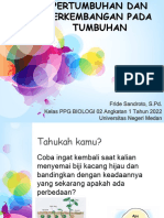 Presentasi RPP Aksi1