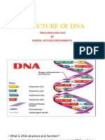 Structure of Dna: Deoxyribonucleic Acid BY Kapish, Rithish, Krishwanth
