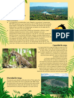 Selva Lacandona: disturbios ambientales y riesgos de diversidad