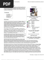 Download Arab Diaspora by Icas Phils SN62915353 doc pdf