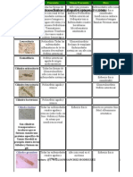 Atlas de Sedimento de La Orina