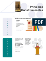 Principios Constitucionales