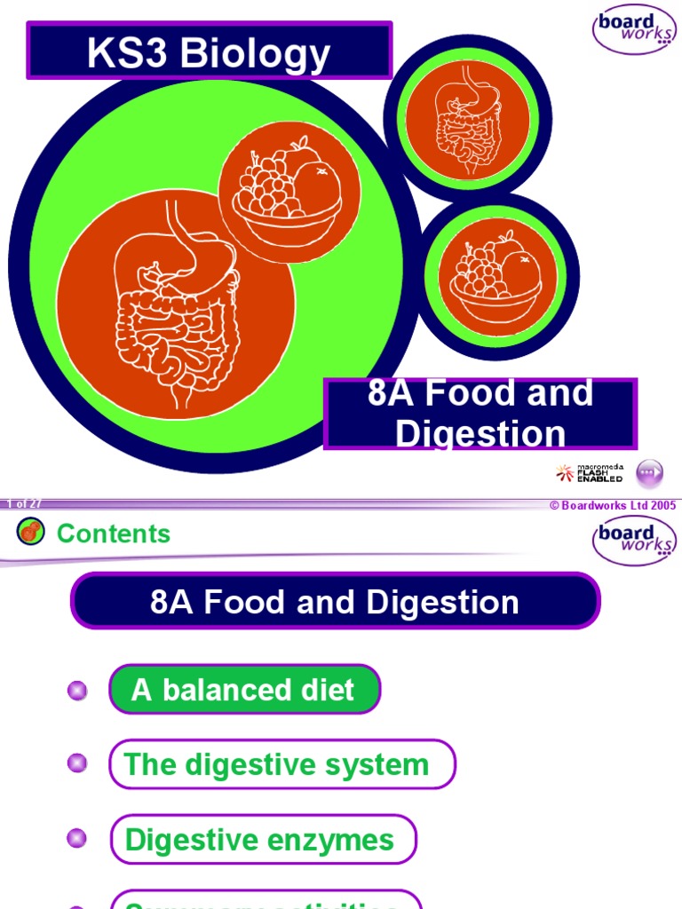 8a Food And Digestion Pdf Digestion Foods