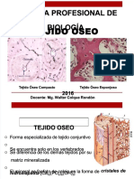 PDF Tejido Oseo DL