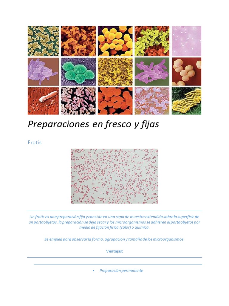 Preparaciones en Fresco y Fijas en Microbiología | PDF
