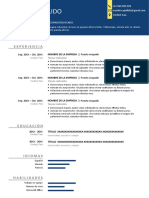 185-curriculum-vitae-venezolano