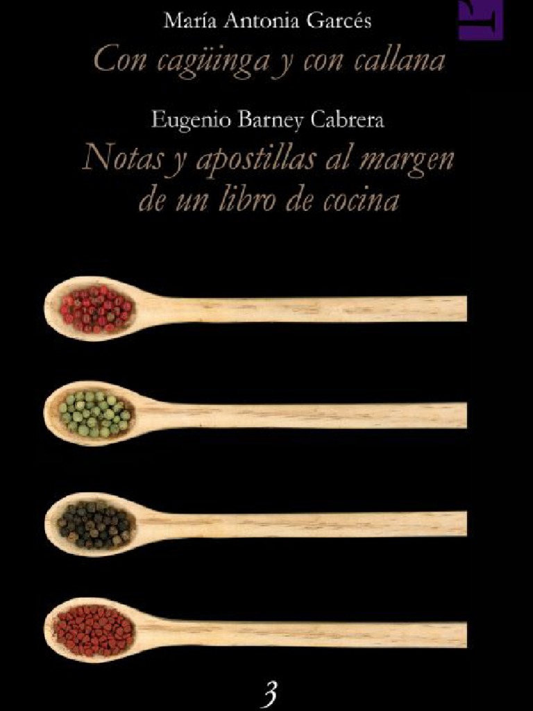 Tomo 03 Con Caguinga y Con Canalla Notas y Apostillas Al Margen, PDF, Estufa de cocina