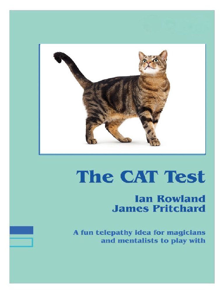 The Cat Test by Ian Rowland