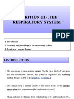 4 - The Respiratory System