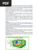 Aula de Biologia Celular