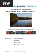 Evt Assesment of Guldager Molledam and Mollebaek