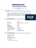 Curriculum Vitae MARCO ANTONIO MENDOZA AQUINO