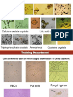 Parasitology (Pictures)