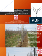Guíavisual de Podapara Árboles de Manzanosnuevos y Semi-Adultosenaltadensidad