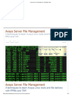 Avaya Server File Management - Wellington Paez