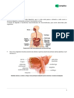 Digestão Humana