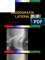 14. Anatomia Radiografica Cefalometrico (3)