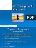 Cell Membrane Transport