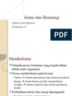 FISIOLOGI HEWAN Pertemuan 12 Metabolisme Dan Bioenergi