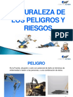 Naturaleza de Peligros y Riesgos