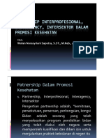 Partnership Interprofesional DLM Promkes