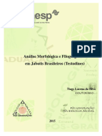 Análise Morfológica e Filogeográfica em Jabutis Brasileiros (Testudines)
