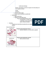 1 Cuello Uterino Histología