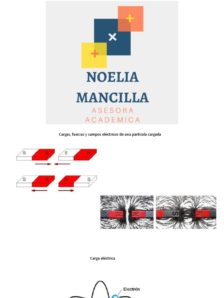 Cargas Electricas PDF