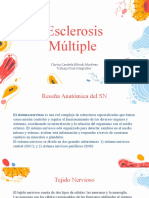 Esclerosis Múltiple: Reseña Anatómica y Fisiopatológica