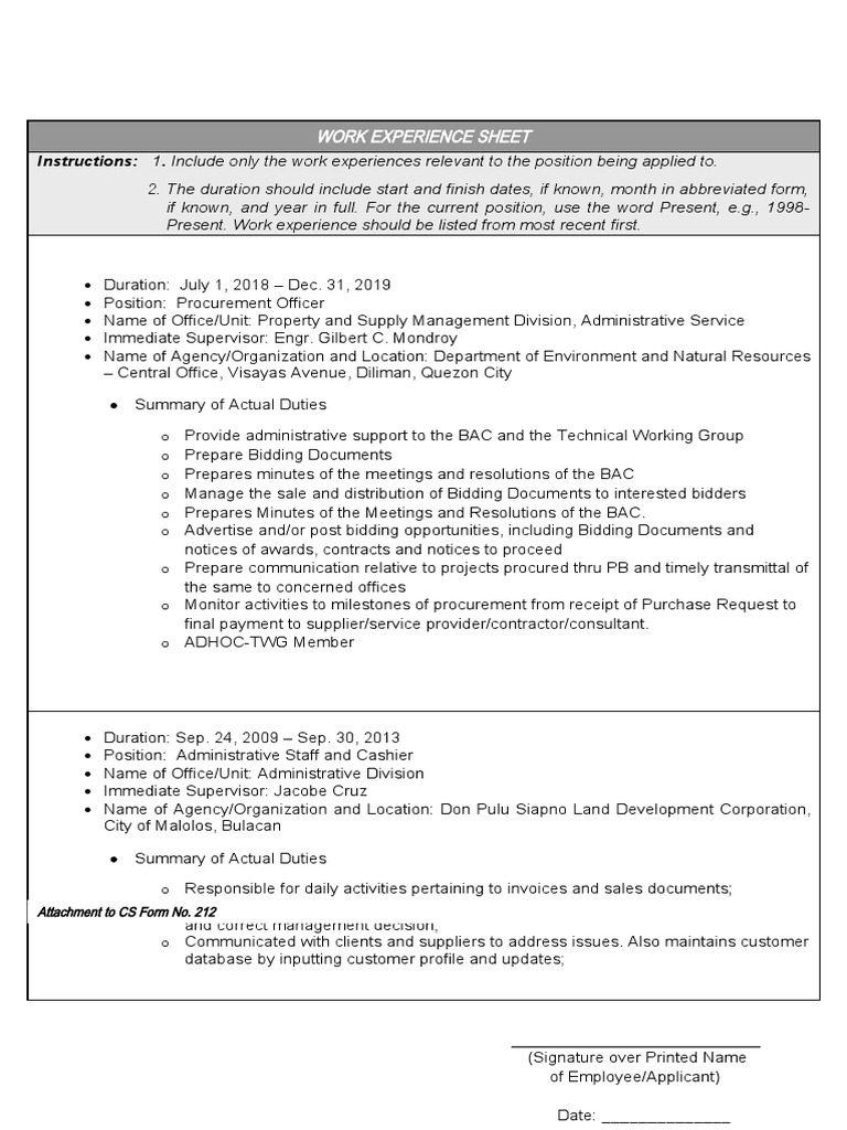Work Experience Sheet | Download Free PDF | Business Economics | Economies