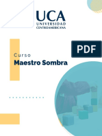 Curso-Maestro-Sombra