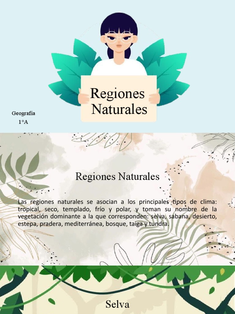Tipos de Regiones Naturales del Mundo | PDF | Desierto | Clima