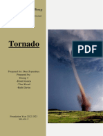 Tornado Report 